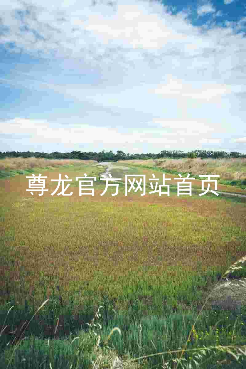 尊龙官方网站首页